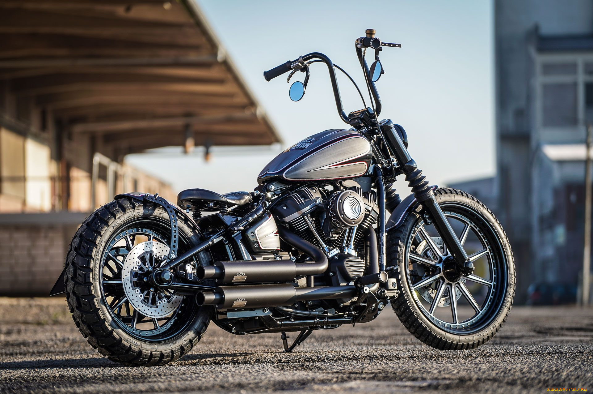 harley, , harley-davidson, , , custom, thunderbike
